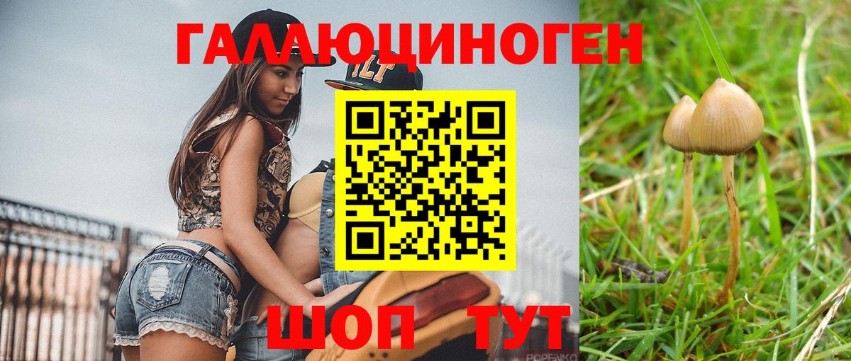 Азов  Псилоцибиновые грибы мицелий  Вход с VPN 